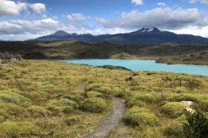 Torres del Paine and Actual Pain: Last Days in Chile