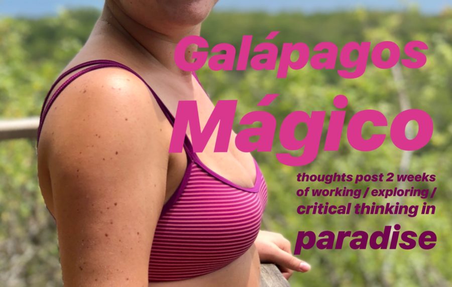 Galapagos Magic: 2 Weeks In