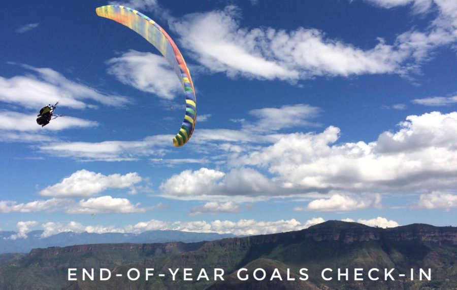 End-of-Year Goals Check-In, 2018 Edition